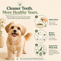 DentalSpray 1.0 - Water Additive Spray - 2