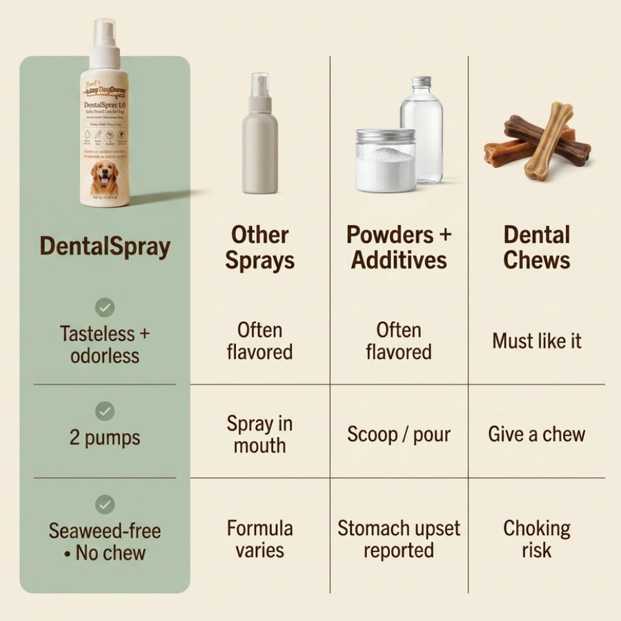 DentalSpray 1.0