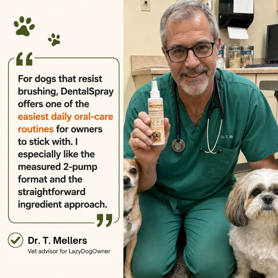 DentalSpray 1.0
