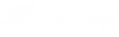 Lazy Dog Owner