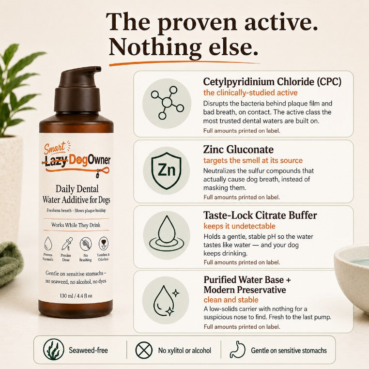 DentalSpray 1.0 - Water Additive Spray