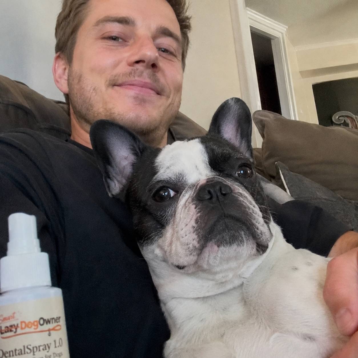 French Bulldog cuddling with owner