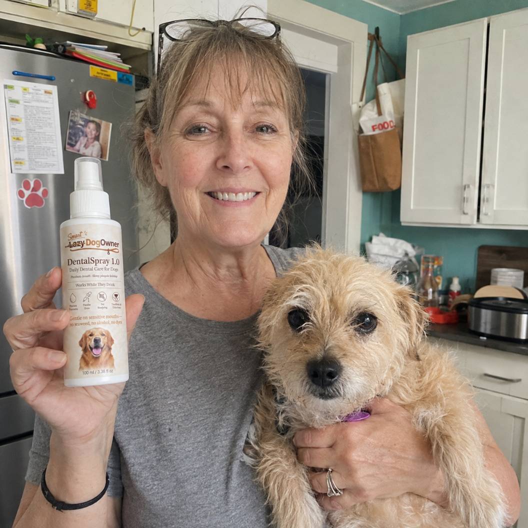 Terrier mix in a sensitive-stomach household